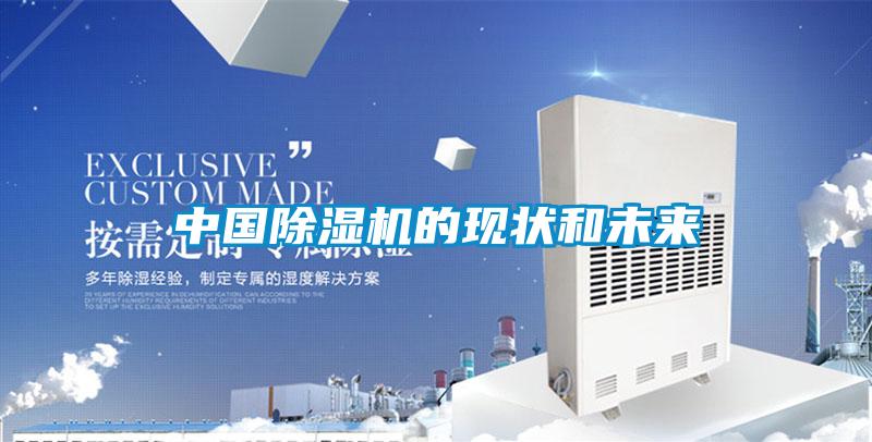 中國(guó)除濕機(jī)的現(xiàn)狀和未來