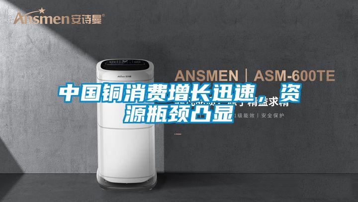 中國銅消費(fèi)增長(zhǎng)迅速，資源瓶頸凸顯