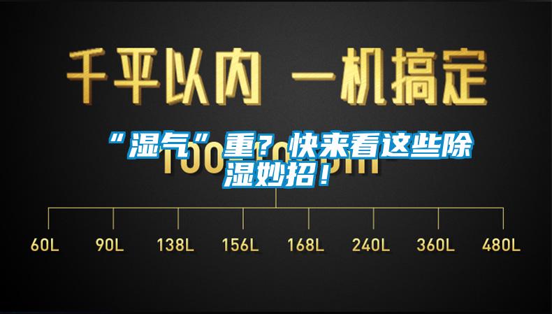 “濕氣”重？快來看這些除濕妙招！