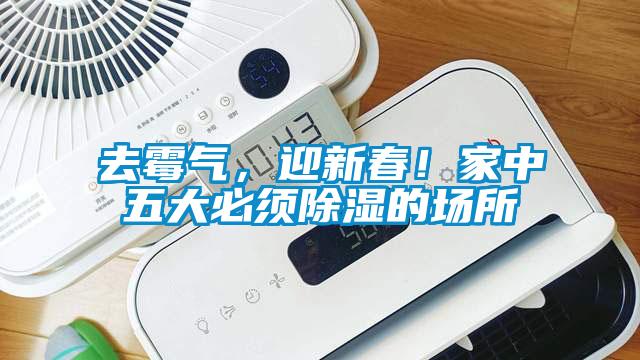 去霉氣，迎新春！家中五大必須除濕的場所