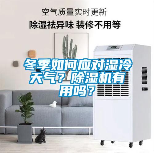 冬季如何應對濕冷天氣？除濕機有用嗎？
