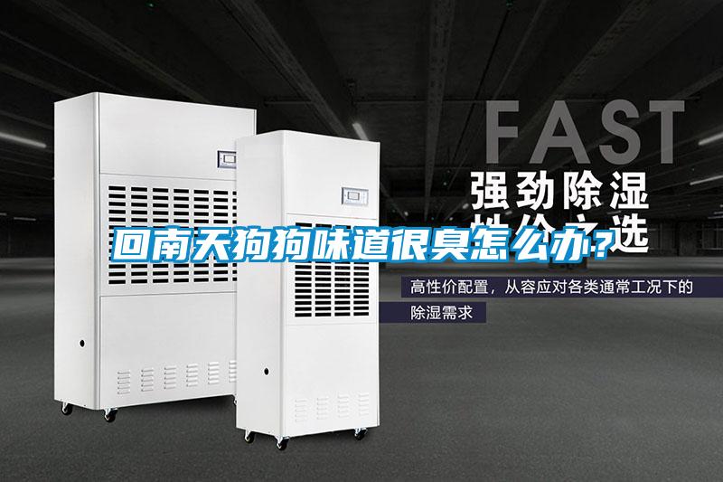 回南天狗狗味道很臭怎么辦？