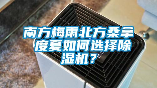 南方梅雨北方桑拿 度夏如何選擇除濕機(jī)？