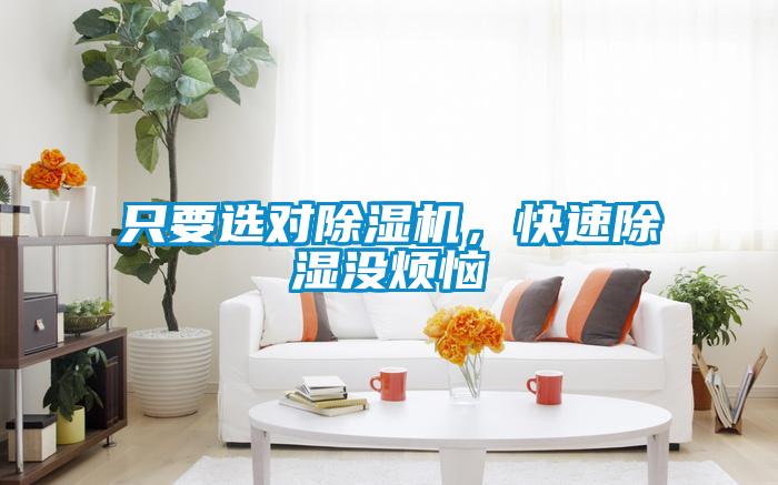 只要選對(duì)除濕機(jī)，快速除濕沒煩惱