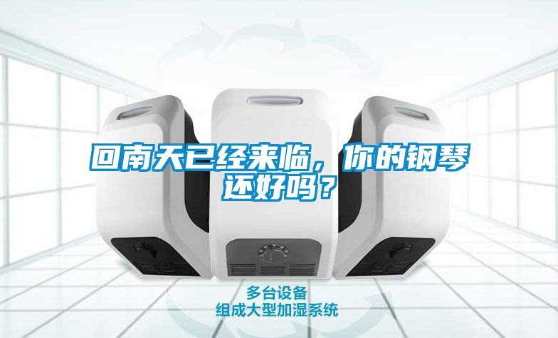 回南天已經來臨，你的鋼琴還好嗎？