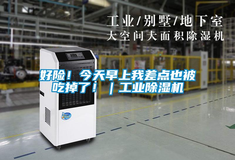 好險！今天早上我差點也被吃掉了?。I(yè)除濕機
