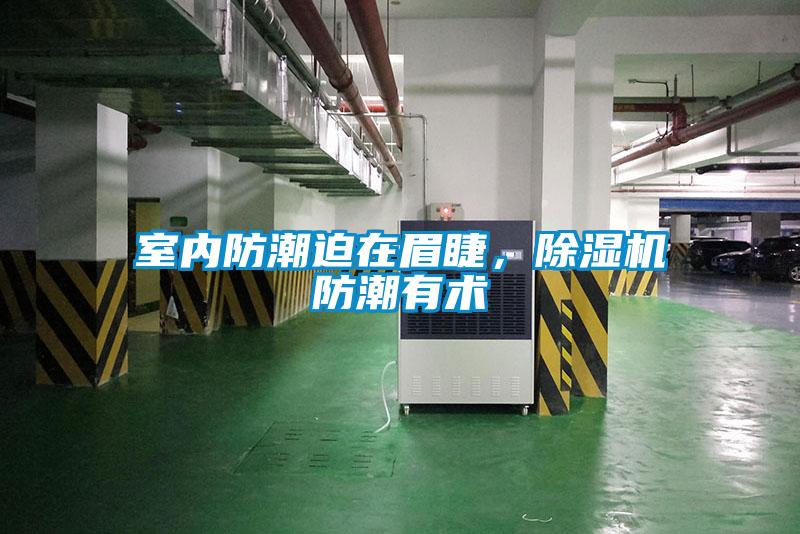 室內防潮迫在眉睫，除濕機防潮有術