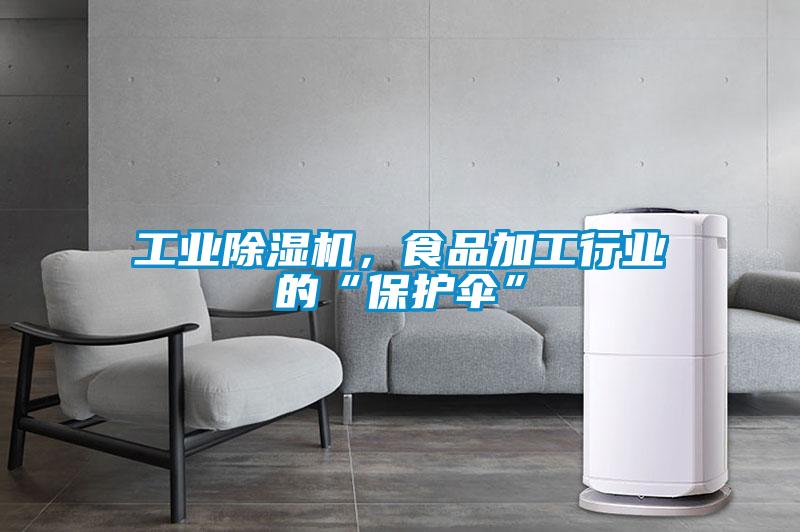 工業除濕機，食品加工行業的“保護傘”