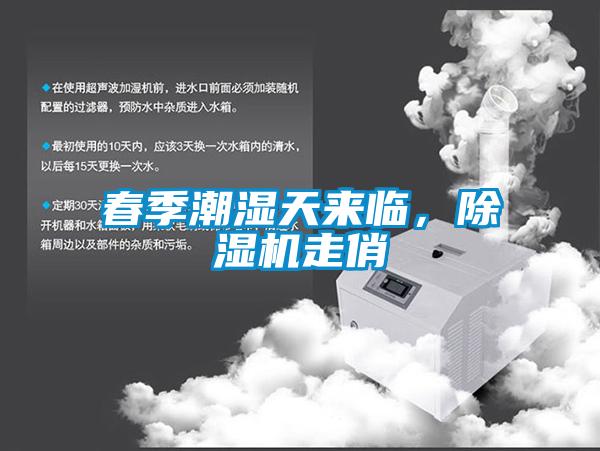 春季潮濕天來臨，除濕機走俏