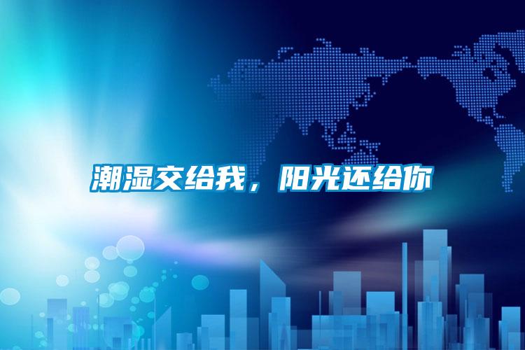 潮濕交給我，陽光還給你