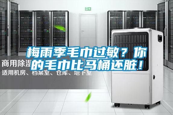 梅雨季毛巾過敏？你的毛巾比馬桶還臟！