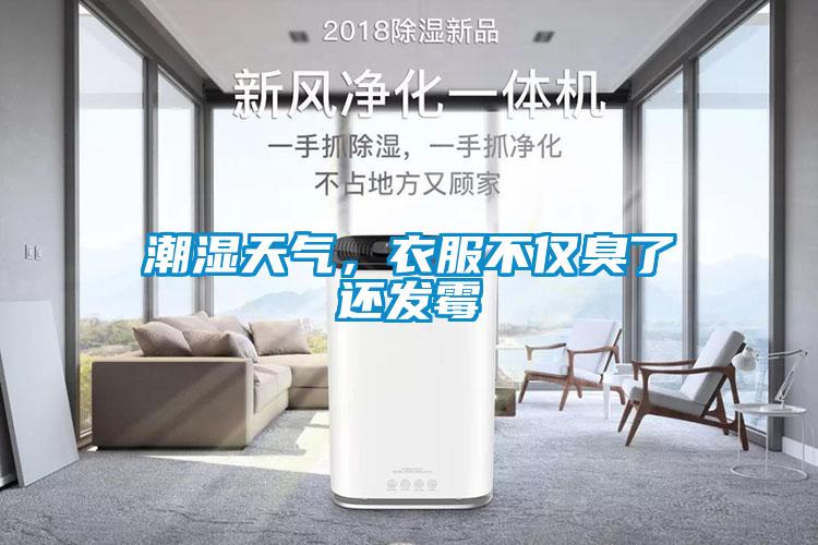 潮濕天氣，衣服不僅臭了還發(fā)霉