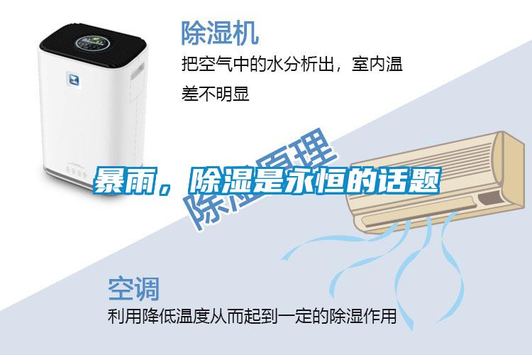 暴雨，除濕是永恒的話題