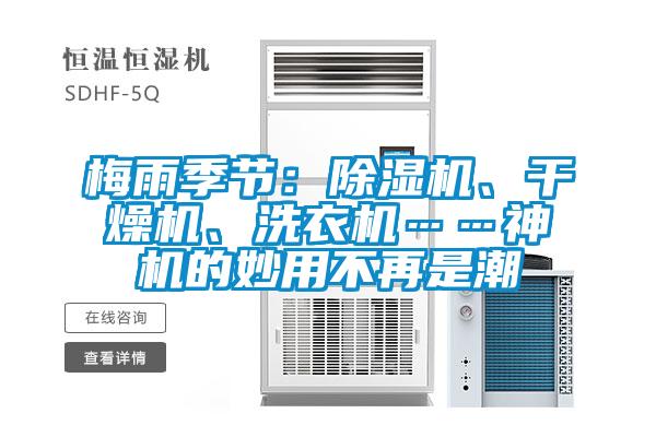 梅雨季節：除濕機、干燥機、洗衣機……神機的妙用不再是潮