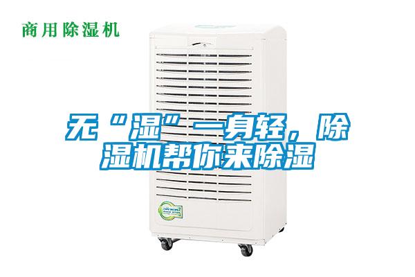 無“濕”一身輕，除濕機幫你來除濕