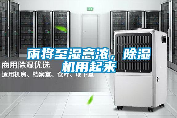 雨將至濕意濃，除濕機用起來