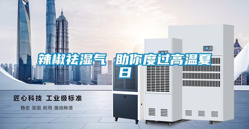 辣椒祛濕氣 助你度過(guò)高溫夏日