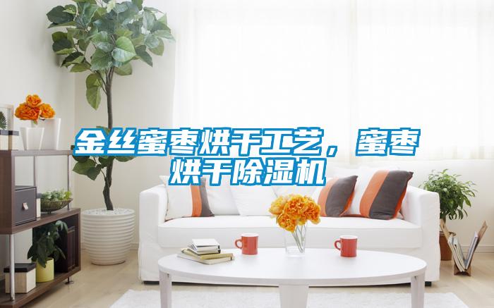 金絲蜜棗烘干工藝，蜜棗烘干除濕機