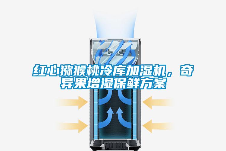 紅心獼猴桃冷庫加濕機，奇異果增濕保鮮方案