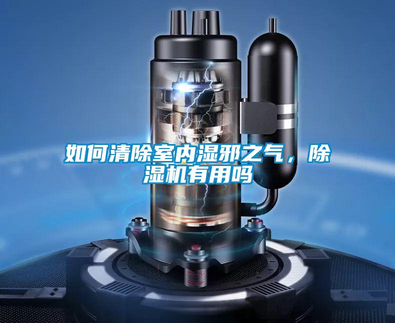 如何清除室內(nèi)濕邪之氣，除濕機(jī)有用嗎
