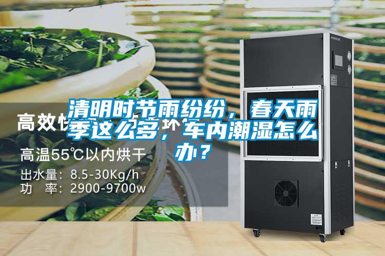 清明時(shí)節(jié)雨紛紛，春天雨季這么多，車內(nèi)潮濕怎么辦？