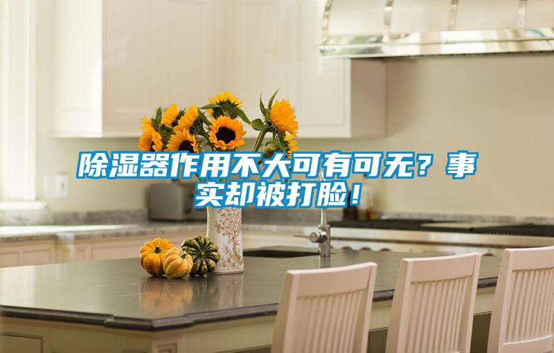 除濕器作用不大可有可無？事實(shí)卻被打臉！