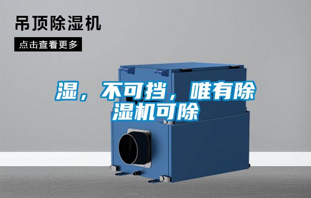 濕，不可擋，唯有除濕機可除