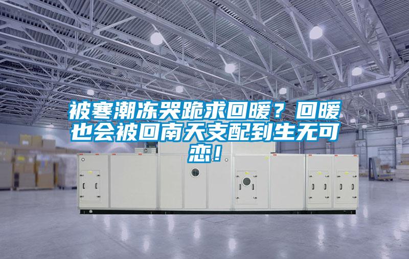 被寒潮凍哭跪求回暖？回暖也會被回南天支配到生無可戀！