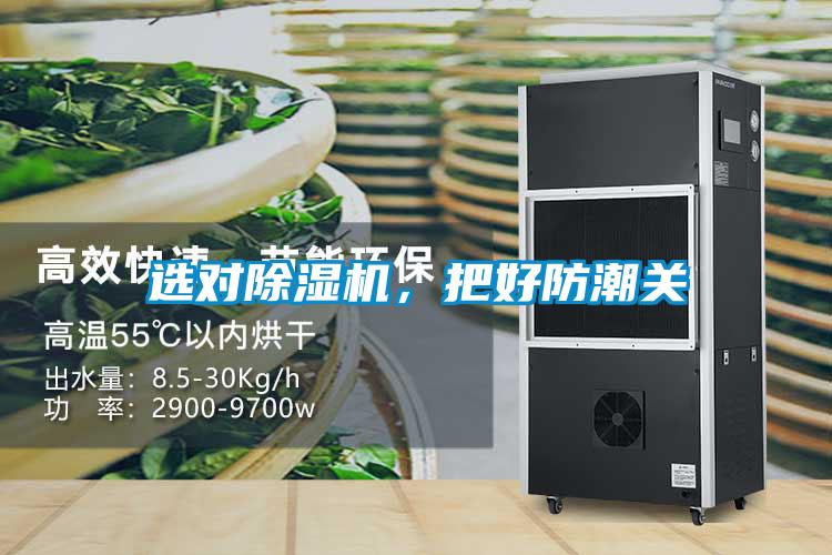 選對除濕機，把好防潮關