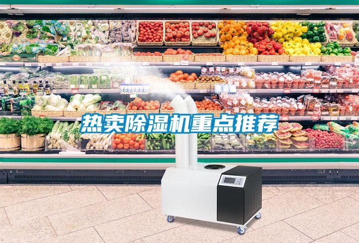 熱賣除濕機(jī)重點推薦