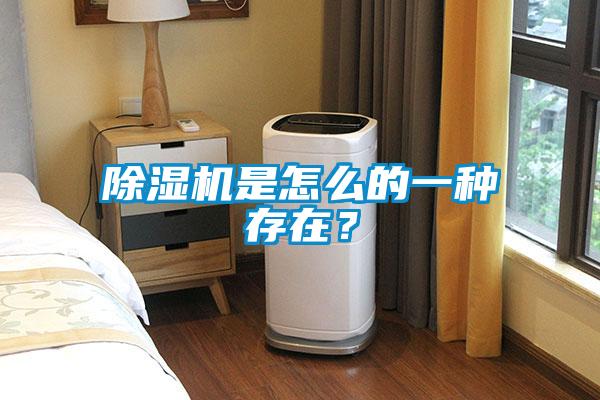 除濕機是怎么的一種存在？
