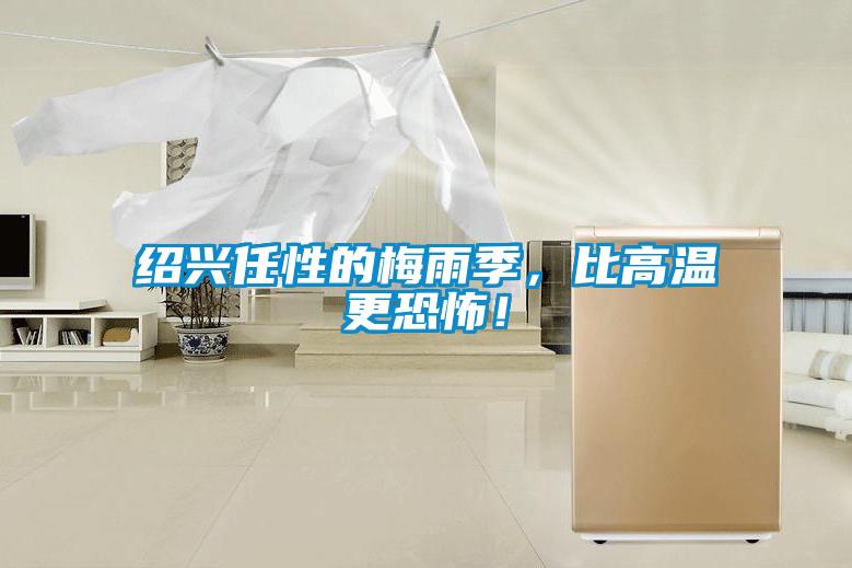 紹興任性的梅雨季，比高溫更恐怖！