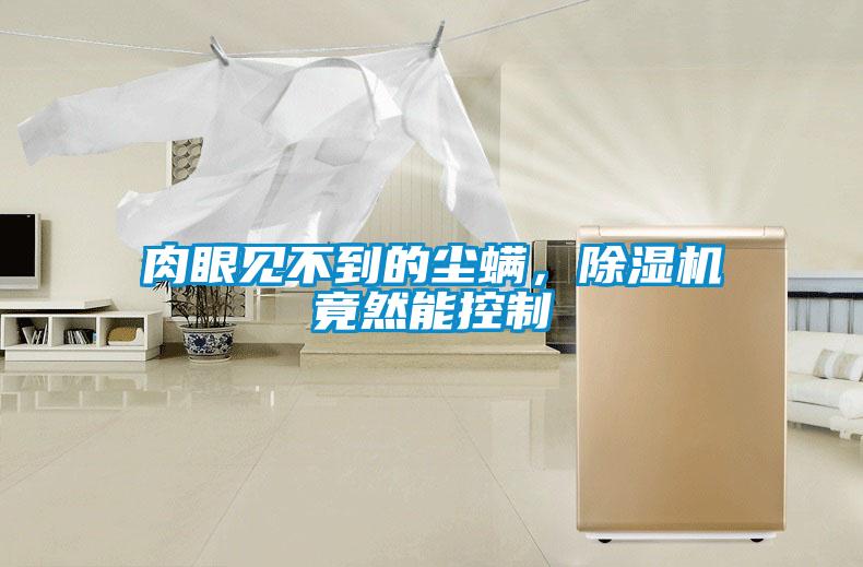 肉眼見(jiàn)不到的塵螨，除濕機(jī)竟然能控制