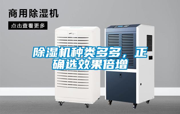 除濕機種類多多，正確選效果倍增