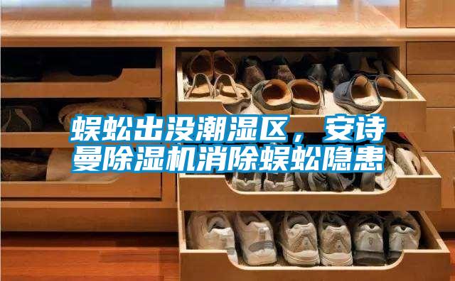 蜈蚣出沒潮濕區，安詩曼除濕機消除蜈蚣隱患