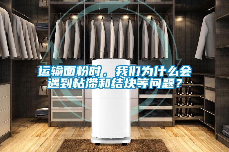 運(yùn)輸面粉時(shí)，我們?yōu)槭裁磿?huì)遇到粘滯和結(jié)塊等問題？