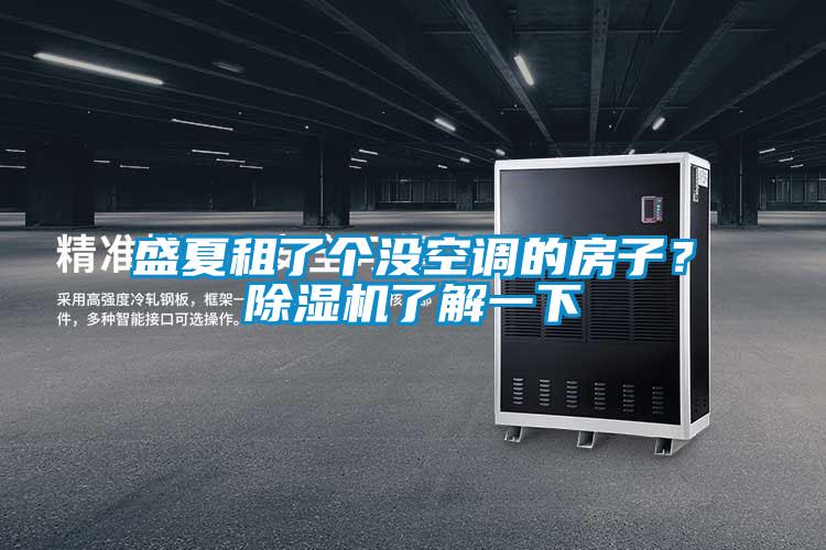 盛夏租了個(gè)沒空調(diào)的房子？除濕機(jī)了解一下