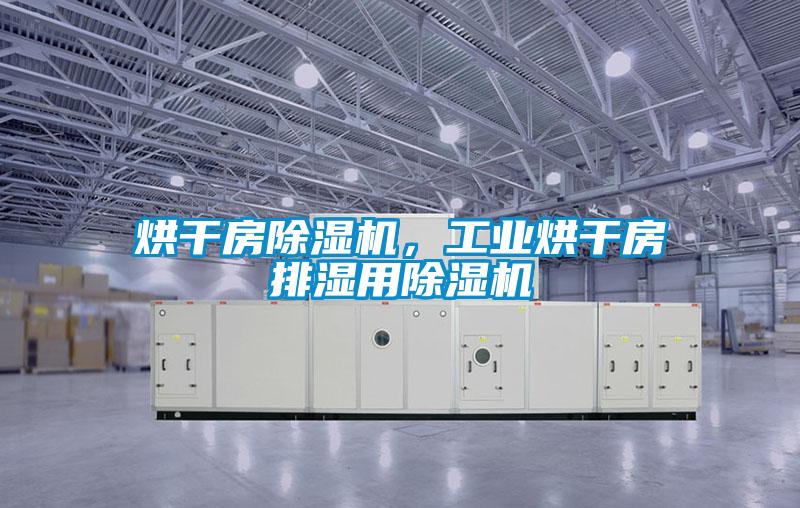 烘干房除濕機，工業烘干房排濕用除濕機