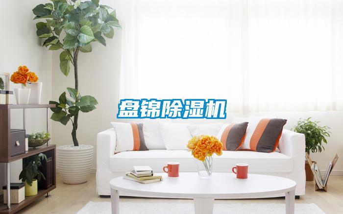 盤(pán)錦除濕機(jī)