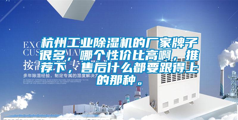 杭州工業除濕機的廠家牌子很多，哪個性價比高啊，推薦下，售后什么都要跟得上的那種。