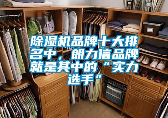 除濕機品牌十大排名中，朗力信品牌就是其中的“實力選手”