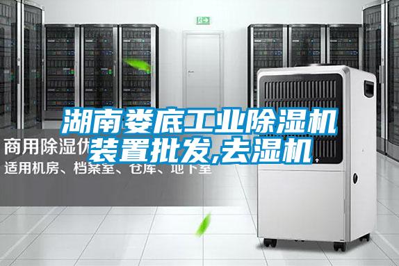 湖南婁底工業(yè)除濕機裝置批發(fā),去濕機