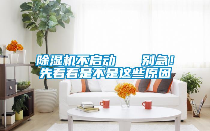 除濕機不啟動   別急！先看看是不是這些原因