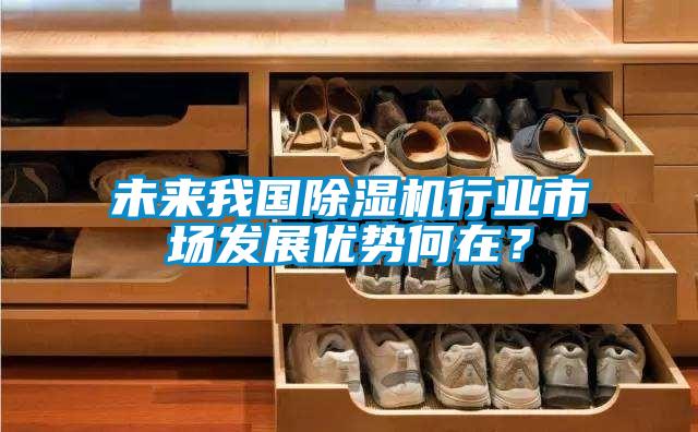 未來我國除濕機行業市場發展優勢何在？