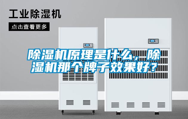 除濕機原理是什么，除濕機那個牌子效果好？