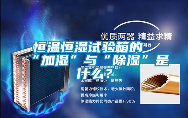恒溫恒濕試驗(yàn)箱的“加濕”與“除濕”是什么？