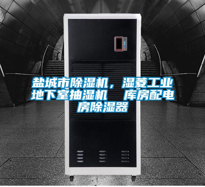 鹽城市除濕機(jī)，濕菱工業(yè)地下室抽濕機(jī)  庫房配電房除濕器