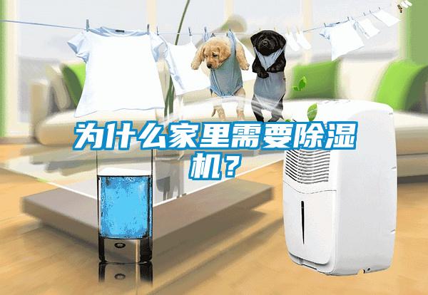 為什么家里需要除濕機？