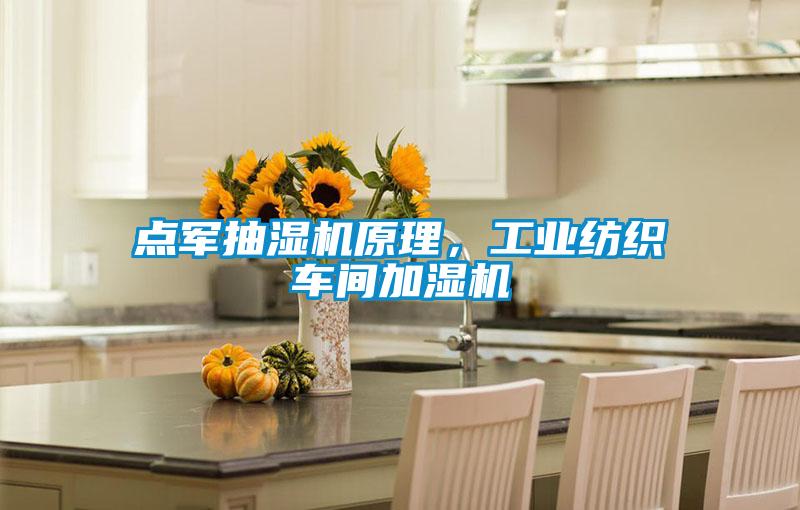 點軍抽濕機原理，工業(yè)紡織車間加濕機