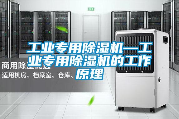 工業(yè)專(zhuān)用除濕機(jī)—工業(yè)專(zhuān)用除濕機(jī)的工作原理